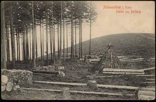 Ansichtskarte Hahnenklee-Bockswiese-Goslar Partie am Borberg Holzmeiler 1906