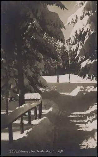 Ansichtskarte Auerbach (Vogtland) Zöbischhaus im Winter Vogtlans 1928