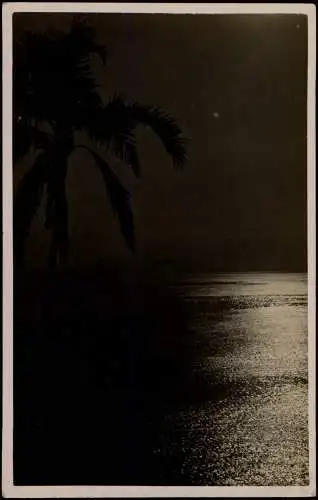 Postcard Santos Guarujá Palmeiras Palmen bei Nacht 1929