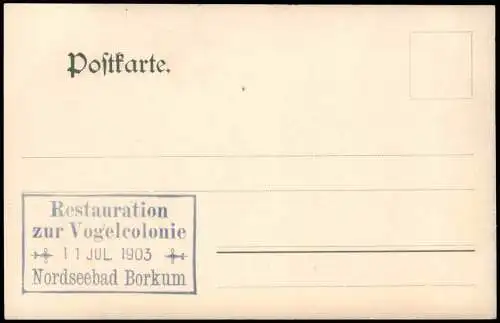 Ansichtskarte Borkum Vogelkolonie Mövennest 1903