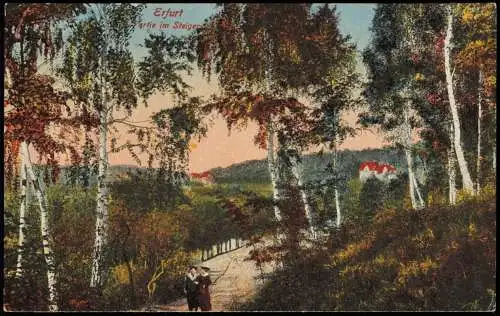 Ansichtskarte Löbervorstadt-Erfurt Partie im Steigerwald - Birken 1915