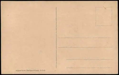 Ansichtskarte Löbervorstadt-Erfurt Partie im Steigerwald - Birken 1915