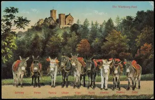 Ansichtskarte Eisenach Wartburg - Esel mit Namen 1915