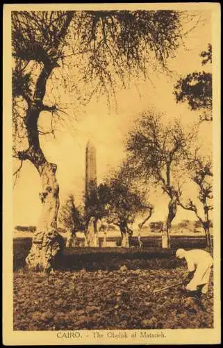 Kairo القاهرة CAIRO The Obelisk of Matarieh, Bauern bei Feldarbeit 1910