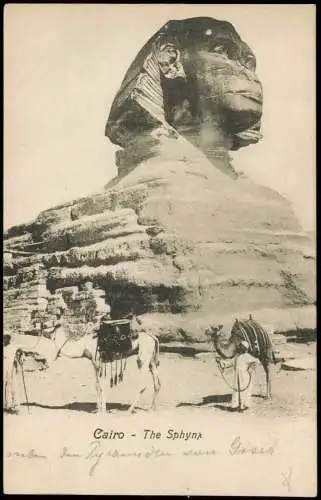 Kairo القاهرة Cairo The Sphynx, Einheimische mit Kamelen 1900