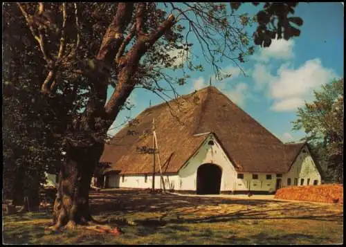 Ansichtskarte Eiderstedt Ortsansicht, Hof-Gebäude Haubarg 1970