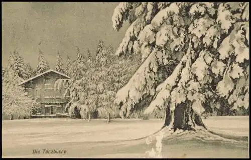 Ansichtskarte Friedrichroda Tanzbuche im Winter 1912