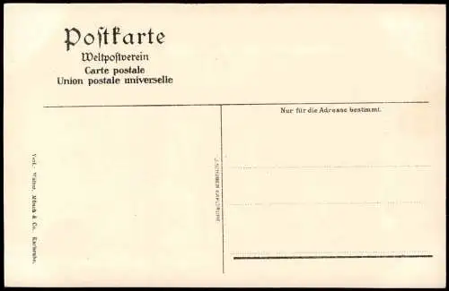 Ansichtskarte Heidelberg Schloß Friedrichsbau Saal im 1. OG 1908