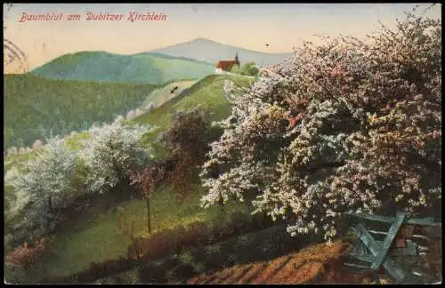 Postcard Salesel Dolní Zálezly Baumblüte am Dubitzer Kirchlein 1913