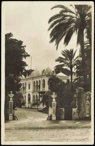 Postcard Algier دزاير Mustapha Superior 1929