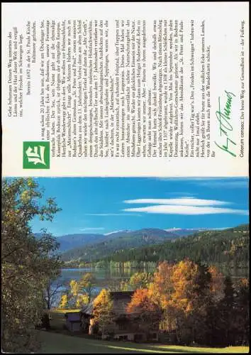 Ansichtskarte Titisee Monoflam Werbekarte 1986