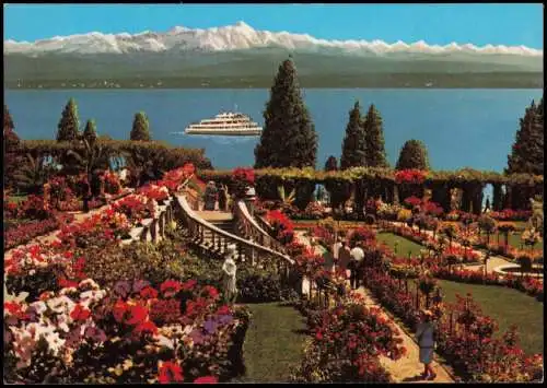 Ansichtskarte Insel Mainau-Konstanz INSEL MAINAU im Bodensee Rosengarten 1981