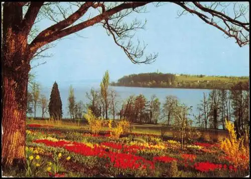 Insel Mainau-Konstanz Ortsansicht Partie an der Frühlingsstraße 1982