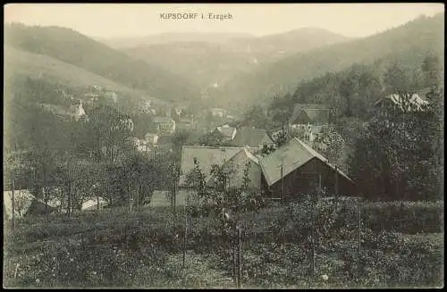 Ansichtskarte Kipsdorf-Altenberg (Erzgebirge) Stadtpartie 1914