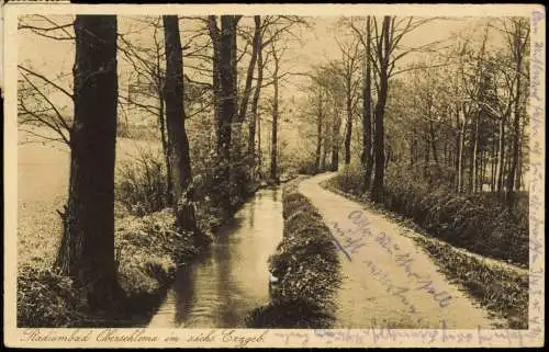 Ansichtskarte Bad Schlema Floßgraben Erzgebirge 1934