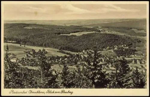 Ansichtskarte Bad Schlema Stadtblick Erzgebirge 1938