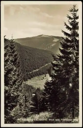 Ansichtskarte Eibenstock Blick vom Frühbuser auf den Auersberg 1930