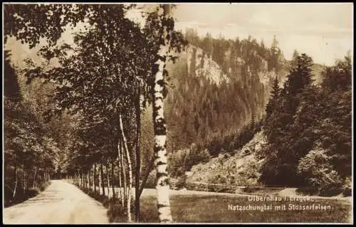 Olbernhau Natzschungtal mit Stösserfelsen Birken Erzgebirge 1928