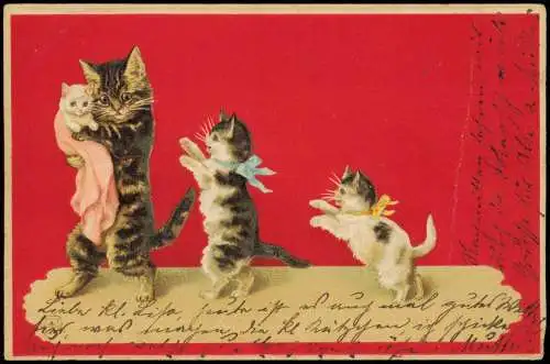 Ansichtskarte  Künstlerkarte Katze Kätzchen Katzenbaby 1902 Prägekarte