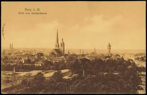 Ansichtskarte Burg (bei Magdeburg) Blick vom Bismarckturm 1925