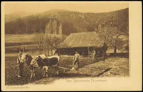 .Baden-Württemberg Bauern bei der Feldarbeit im Schwarzwald 1911