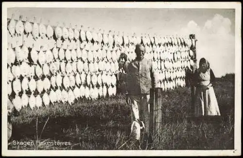 Postcard Skagen Fisken torres Fischer 1928  Danmark Dänemark