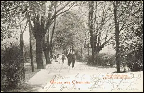 Ansichtskarte Chemnitz Promenadenweg um den Schlossteich 1903