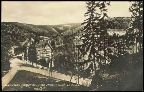 Ansichtskarte Schwarzburg Hotel Weißer Hirsch mit Schloß 1929