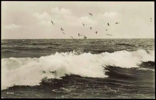 Ansichtskarte Binz (Rügen) Wellenspiel und Möwen - Fotokarte 1928