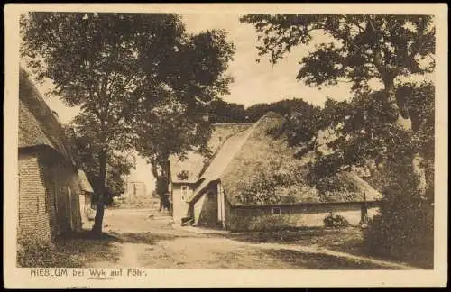 Ansichtskarte Nieblum (Nordseebad) Dorfstraße 1916