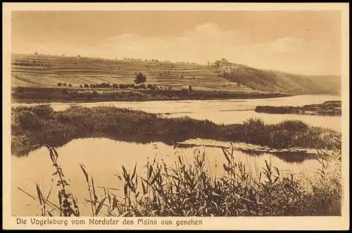 Ansichtskarte Volkach Die Vogelsburg vom Nordufer des Mains aus gesehen 1922