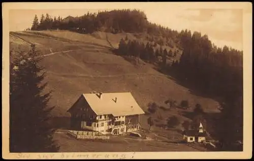 Bregenz Pfänderspitze mit Hotel und Dohle 1924  gel. Infla Frankatur