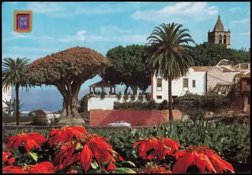 Postales .Teneriffa ICOD DE LOS VINOS Tenerife "El Drago Milenario" 1990  Kanaren Canaris