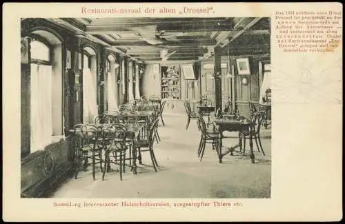 Ansichtskarte Luzern Lucerna Restaurationssaal der alten Drossel 1907