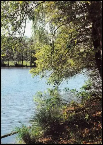 Ansichtskarte Spremberg Schloss mit Teich 1983