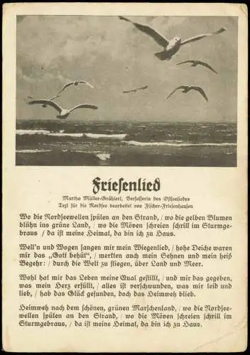 Ansichtskarte  Liedkarte Friesenlied Möwen 1941 gel. Feldpost WK2