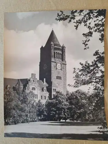 Foto Posen Poznań Schloß - Seitenansicht 1930 Privatfoto