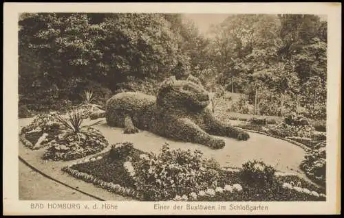 Bad Homburg vor der Höhe Einer der Buxlöwen im Schloßgarten 1916