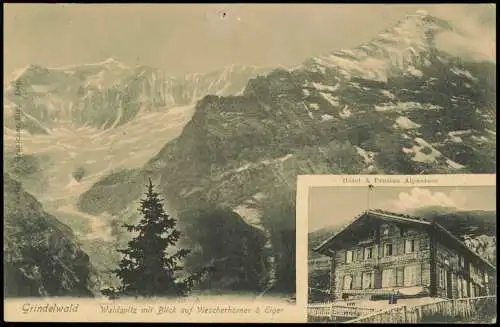 Ansichtskarte Grindelwald Eiger Hotel & Pension Alpenrose 2 Bild 1908  Helvetia