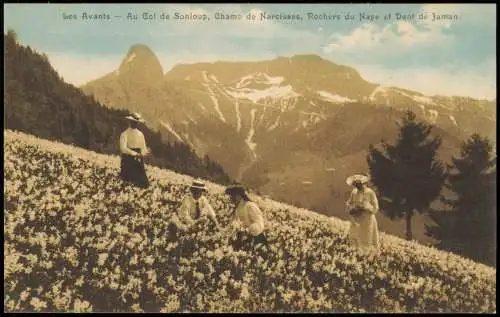 Les Avants Au Col de Sonloup Frauen Blumenwiese 1911  Waadt Helvetia