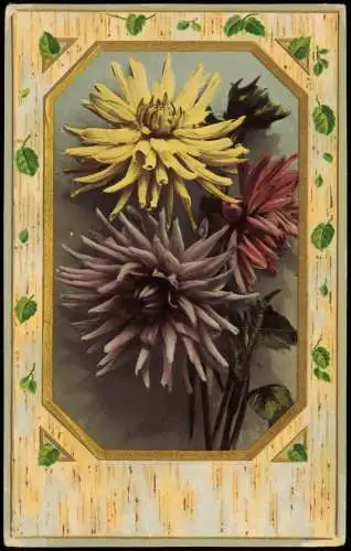 Ansichtskarte  Botanik :: Blumen Dahlien Birkenholz Immitation 1911 Goldrand