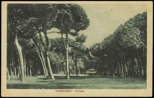 Cartoline Viareggio Pineta 1928  Italien iTALIA