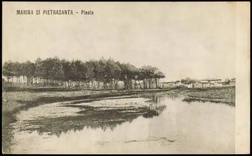 Cartoline Marina di Pietrasanta Pinete 1914  b. Pisa