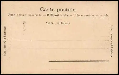 Leukerbad Leiggerbad Loèche-les-Bains Gemmi. Hôtel  und  Walliseralpen 1908