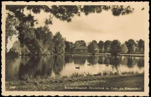 Ansichtskarte Wiener Neustadt Pionierteich im Parke der Kriegsschule 1941