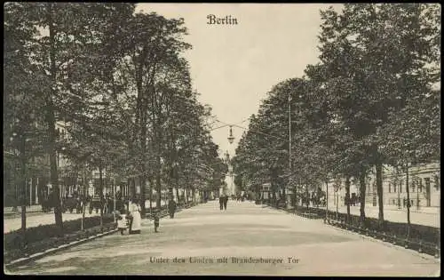 Ansichtskarte Mitte-Berlin Unter den Linden mit Brandenburger Tor 1908