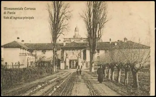 Cartoline Pavia Monumentale Certosa Viale all'ingresso principale 1912