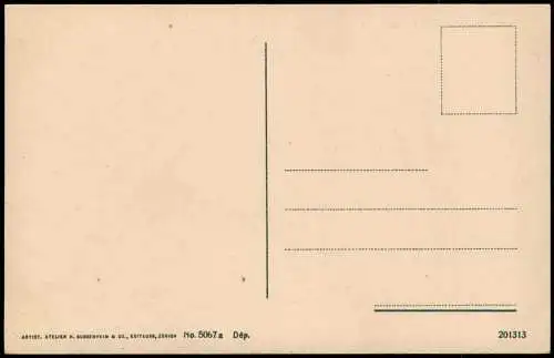 Cartoline Siena Panorama visto dal Duomo 1912