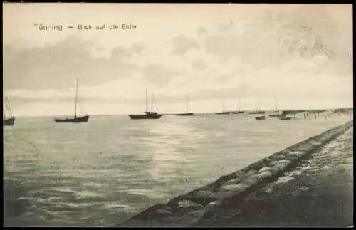 Ansichtskarte Tönning (Amt Eiderstedt) Blick auf die Eider 1913