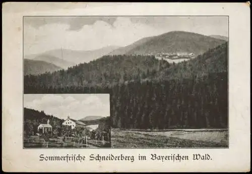 Ansichtskarte Lohberg Pension Joh. Seidl Schneiderberg 1939